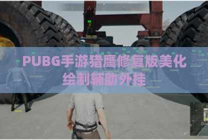 PUBG手游猎鹰修复版美化绘制辅助外挂