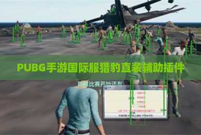 PUBG手游国际服猎豹直装辅助插件