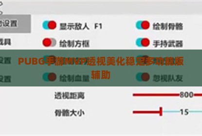 PUBG手游MVP透视美化稳定多功能版辅助