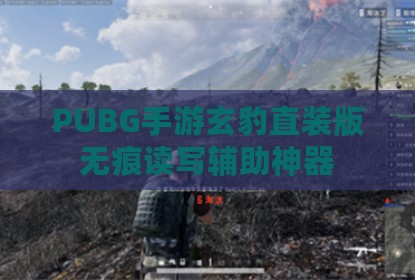 PUBG手游玄豹直装版无痕读写辅助神器