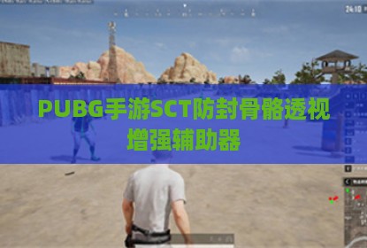 PUBG手游SCT防封骨骼透视增强辅助器