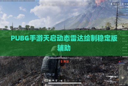 PUBG手游天启动态雷达绘制稳定版辅助