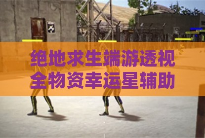 绝地求生端游透视全物资幸运星辅助插件