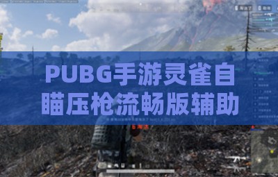 PUBG手游灵雀自瞄压枪流畅版辅助科技