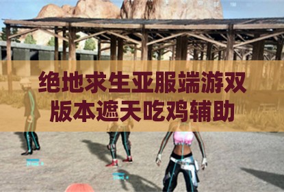 绝地求生亚服端游双版本遮天吃鸡辅助