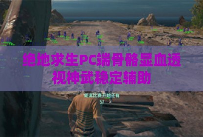 绝地求生PC端骨骼显血透视神武稳定辅助