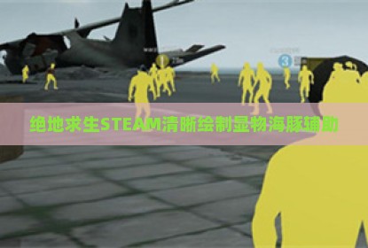 绝地求生STEAM清晰绘制显物海豚辅助