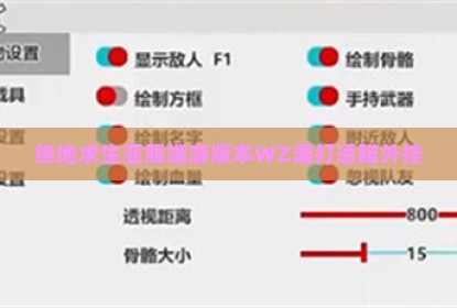 绝地求生亚服端游版本WZ漏打透瞄外挂
