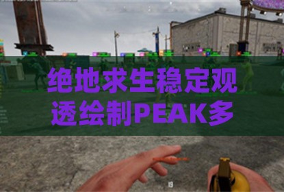 绝地求生稳定观透绘制PEAK多功能辅助