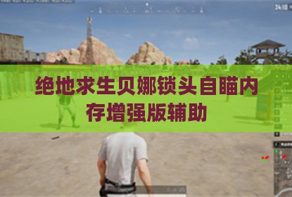 绝地求生贝娜锁头自瞄内存增强版辅助