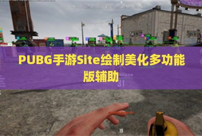 PUBG手游Site绘制美化多功能版辅助